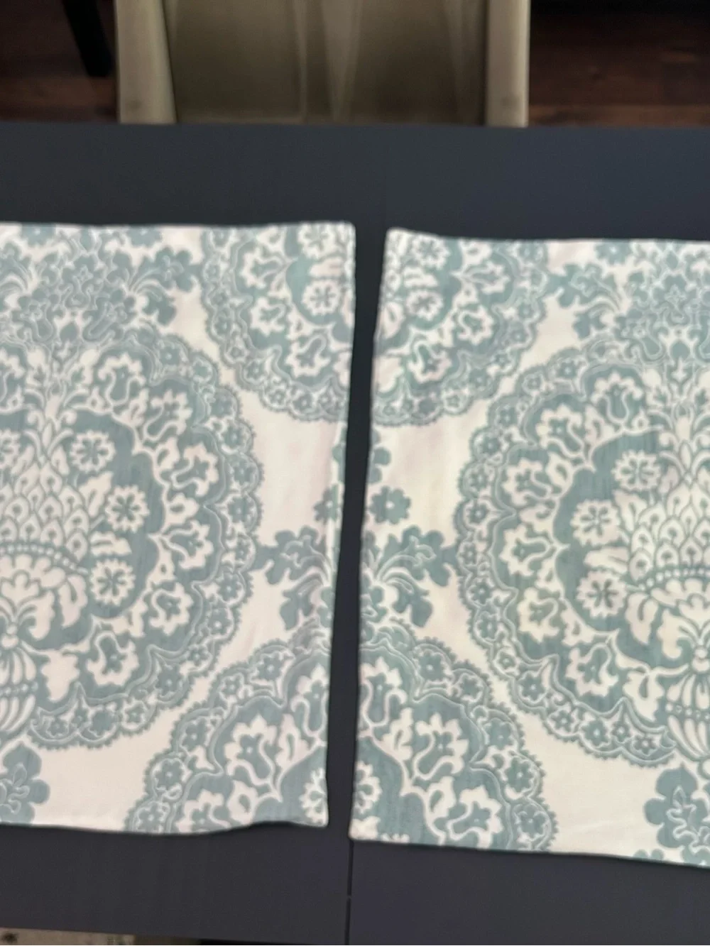 Pottery Barn set of two euro Shams in Lucianna medallion pattern